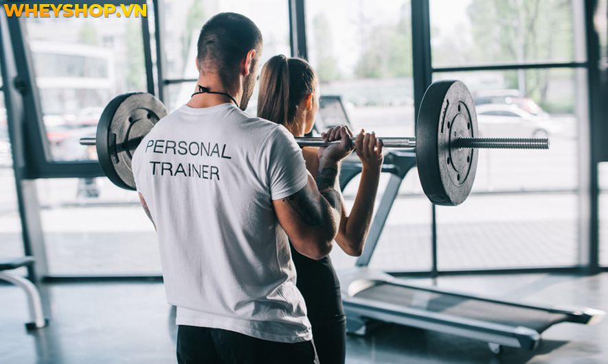 Nếu bạn đang băn khoăn có nên học huấn luyện viên thể hình không thì hãy cùng WheyShop tham khảo chi tiết bài viết...