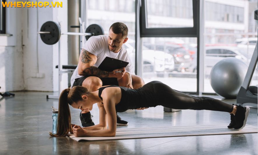 Nếu bạn đang băn khoăn có nên học huấn luyện viên thể hình không thì hãy cùng WheyShop tham khảo chi tiết bài viết...