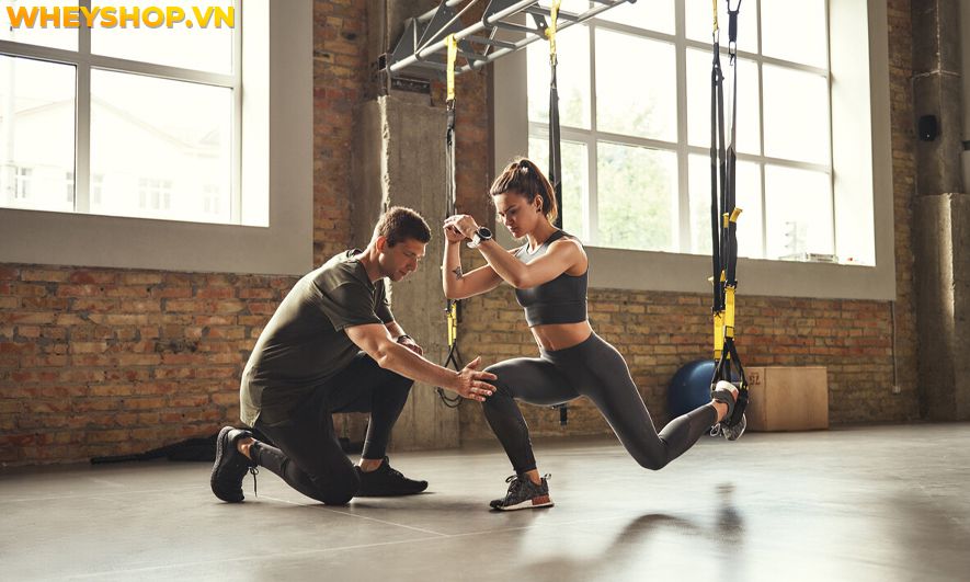 Nếu bạn đang băn khoăn có nên học huấn luyện viên thể hình không thì hãy cùng WheyShop tham khảo chi tiết bài viết...