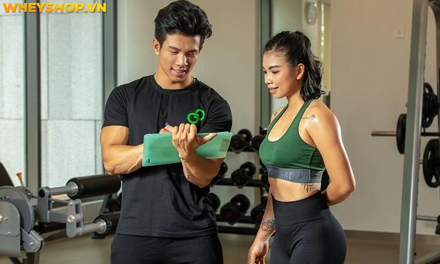 Nếu bạn đang băn khoăn có nên học huấn luyện viên thể hình không thì hãy cùng WheyShop tham khảo chi tiết bài viết...