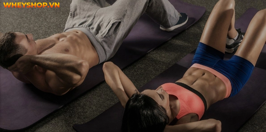 Gập bụng đúng cách là một trong những bài tập giúp giảm mỡ, săn chắc vòng bụng. Trong bài viết này, WheyShop chia sẻ và hướng dẫn gập bụng đúng cách...