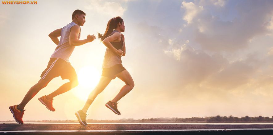 Nếu bạn đang tìm hiểu các bài tập kéo dài chân thì hãy cùng WheyShop tham khảo chi tiết bài viết hướng dẫn 10 bài tập kéo dài chân...