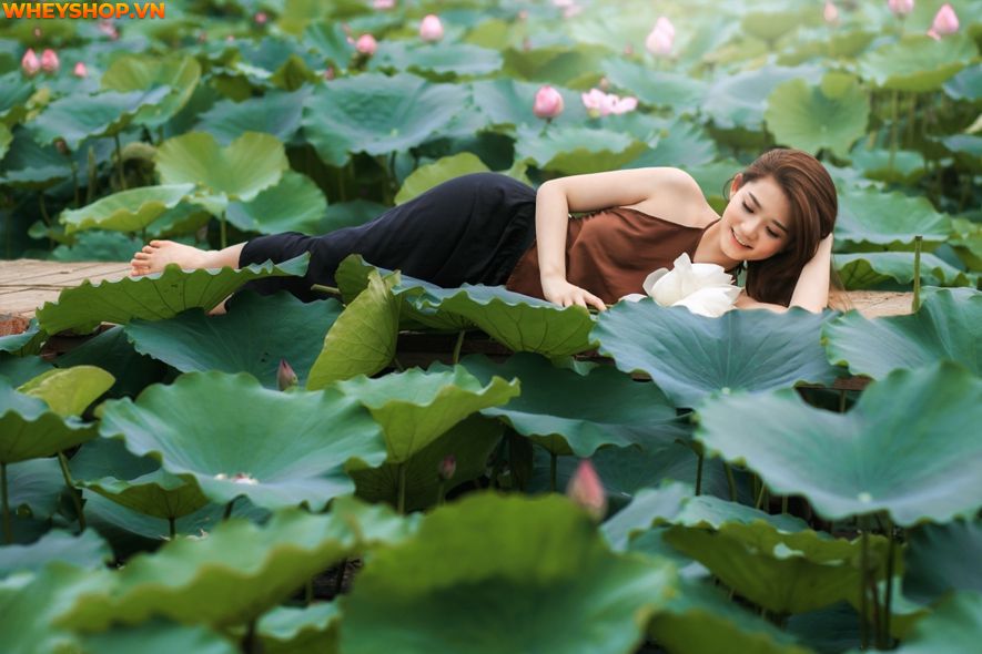 Mùa sen thường bắt đầu từ đầu tháng 6 đến tháng 10 hàng năm, nên ai cũng mong muốn có được những tấm hình thật đẹp với loại quốc hoa này. Xin mời các bạn hãy...