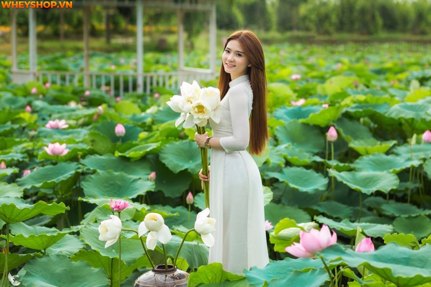 Mùa sen thường bắt đầu từ đầu tháng 6 đến tháng 10 hàng năm, nên ai cũng mong muốn có được những tấm hình thật đẹp với loại quốc hoa này. Xin mời các bạn hãy...