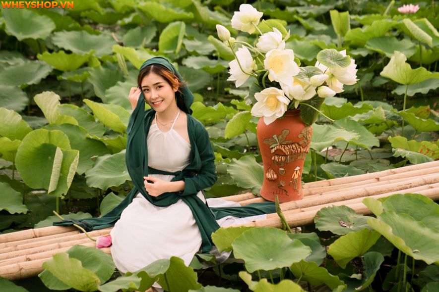 Mùa sen thường bắt đầu từ đầu tháng 6 đến tháng 10 hàng năm, nên ai cũng mong muốn có được những tấm hình thật đẹp với loại quốc hoa này. Xin mời các bạn hãy...