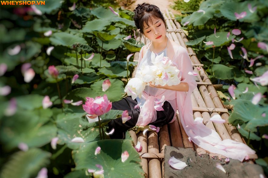 Mùa sen thường bắt đầu từ đầu tháng 6 đến tháng 10 hàng năm, nên ai cũng mong muốn có được những tấm hình thật đẹp với loại quốc hoa này. Xin mời các bạn hãy...