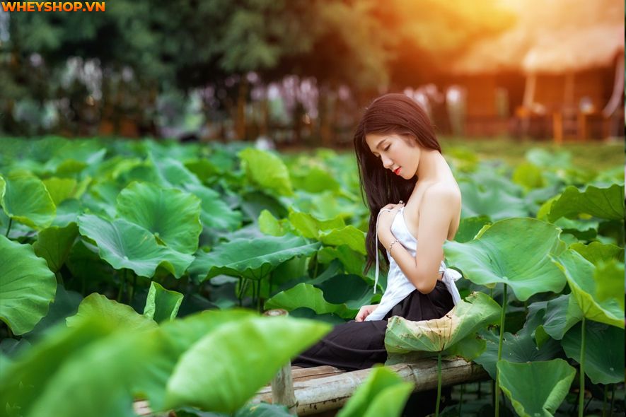 Mùa sen thường bắt đầu từ đầu tháng 6 đến tháng 10 hàng năm, nên ai cũng mong muốn có được những tấm hình thật đẹp với loại quốc hoa này. Xin mời các bạn hãy...