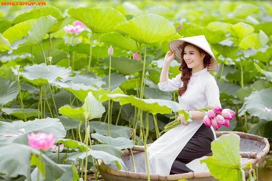 Mùa sen thường bắt đầu từ đầu tháng 6 đến tháng 10 hàng năm, nên ai cũng mong muốn có được những tấm hình thật đẹp với loại quốc hoa này. Xin mời các bạn hãy...