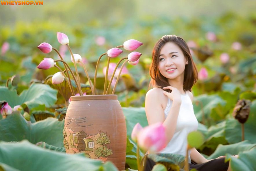 Mùa sen thường bắt đầu từ đầu tháng 6 đến tháng 10 hàng năm, nên ai cũng mong muốn có được những tấm hình thật đẹp với loại quốc hoa này. Xin mời các bạn hãy...