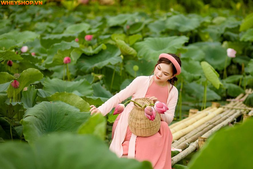 Mùa sen thường bắt đầu từ đầu tháng 6 đến tháng 10 hàng năm, nên ai cũng mong muốn có được những tấm hình thật đẹp với loại quốc hoa này. Xin mời các bạn hãy...