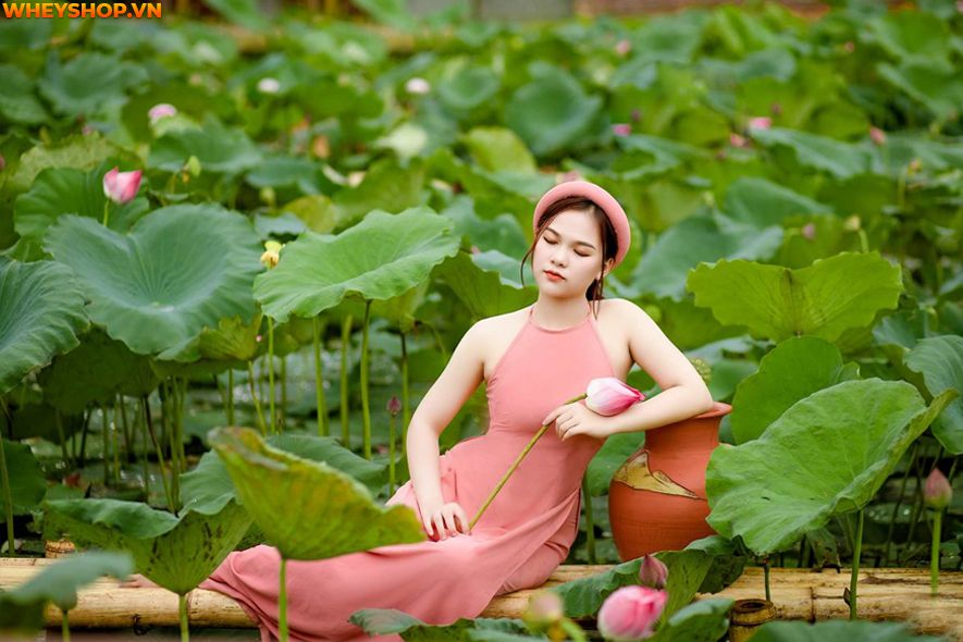 Mùa sen thường bắt đầu từ đầu tháng 6 đến tháng 10 hàng năm, nên ai cũng mong muốn có được những tấm hình thật đẹp với loại quốc hoa này. Xin mời các bạn hãy...