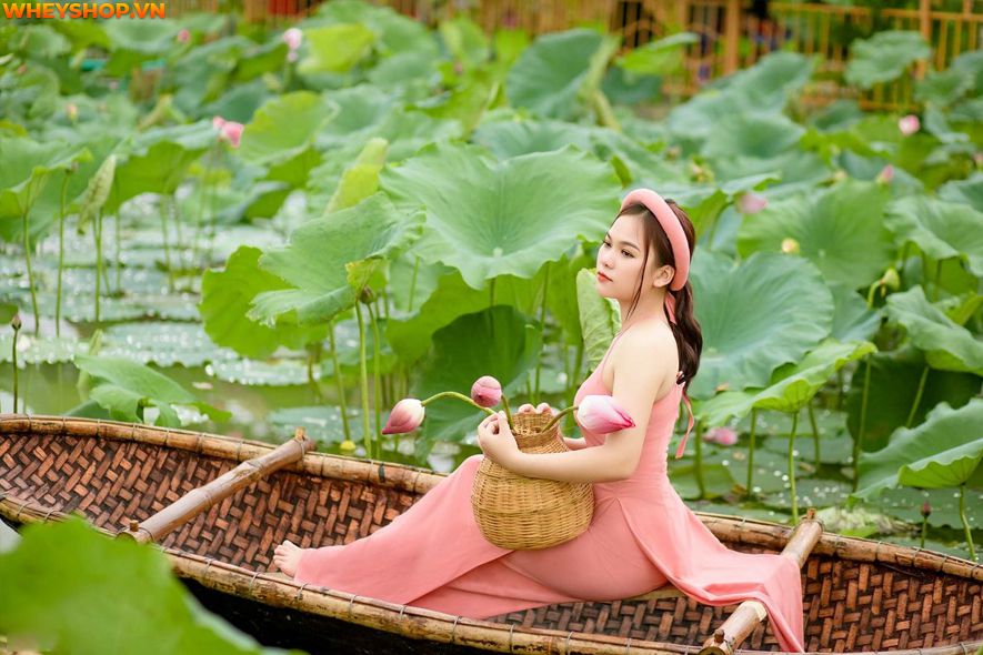 Mùa sen thường bắt đầu từ đầu tháng 6 đến tháng 10 hàng năm, nên ai cũng mong muốn có được những tấm hình thật đẹp với loại quốc hoa này. Xin mời các bạn hãy...