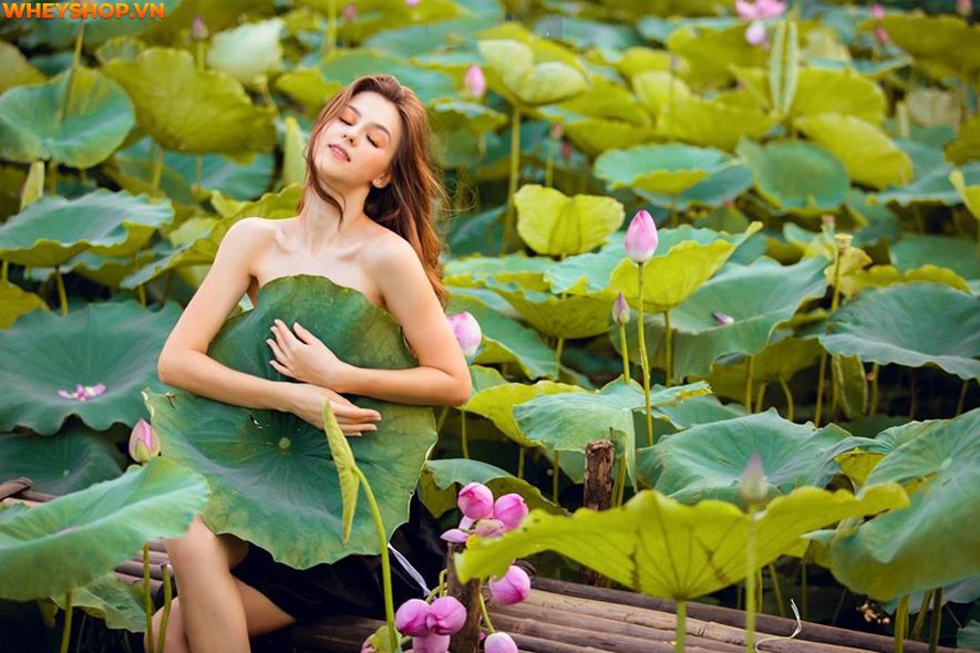 Mùa sen thường bắt đầu từ đầu tháng 6 đến tháng 10 hàng năm, nên ai cũng mong muốn có được những tấm hình thật đẹp với loại quốc hoa này. Xin mời các bạn hãy...