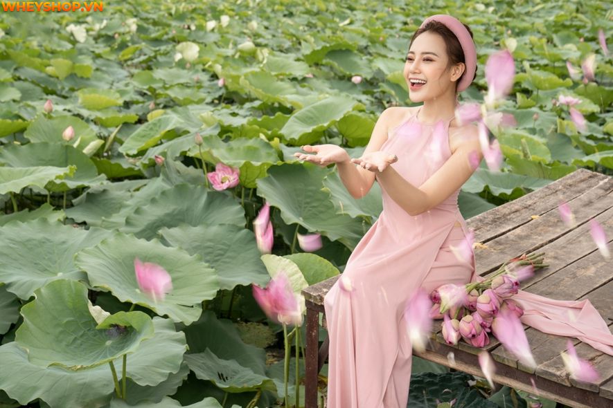 Mùa sen thường bắt đầu từ đầu tháng 6 đến tháng 10 hàng năm, nên ai cũng mong muốn có được những tấm hình thật đẹp với loại quốc hoa này. Xin mời các bạn hãy...