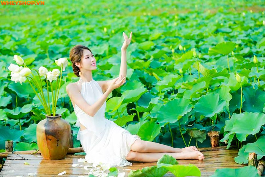 Mùa sen thường bắt đầu từ đầu tháng 6 đến tháng 10 hàng năm, nên ai cũng mong muốn có được những tấm hình thật đẹp với loại quốc hoa này. Xin mời các bạn hãy...