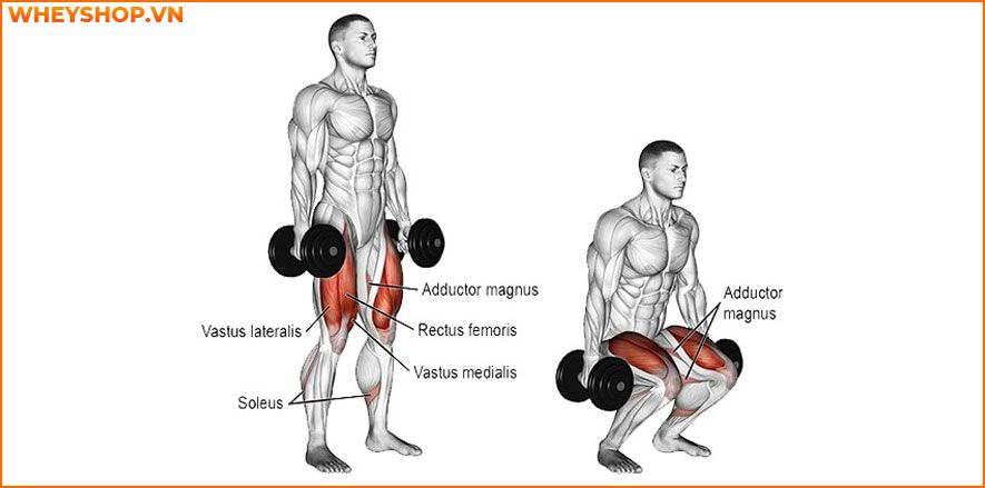 squat với tạ tăng vòng 3