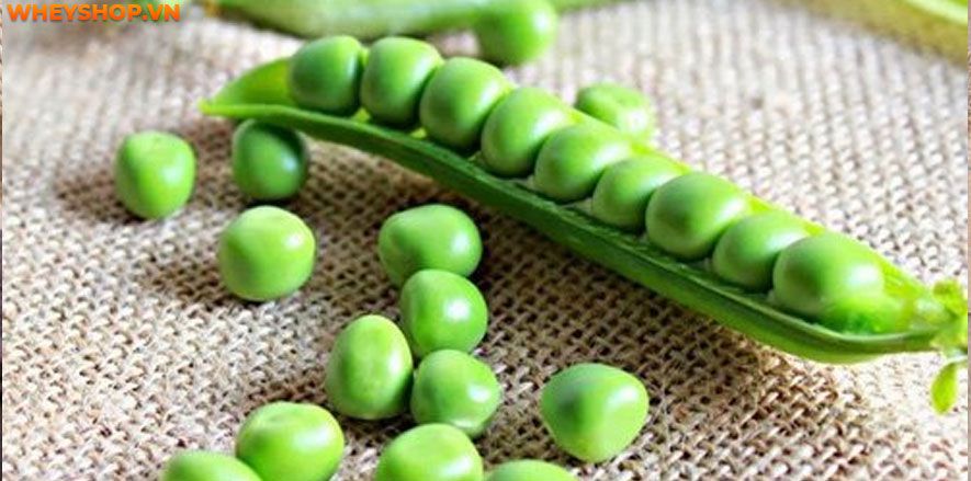 Nếu bạn đang băn khoăn tìm bài tập tăng vòng 3 hiệu quả tại nhà thì hãy cùng WheyShop tham khảo 20 bài tập tăng vòng 3 qua bài viết...