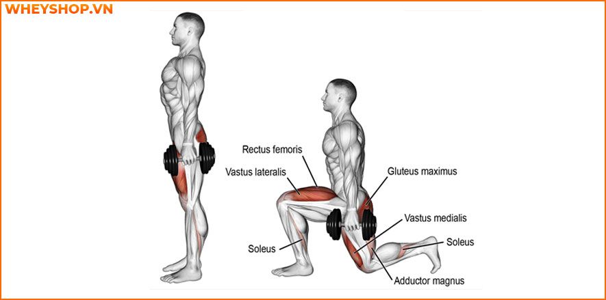 pulse lunge tăng vòng 3