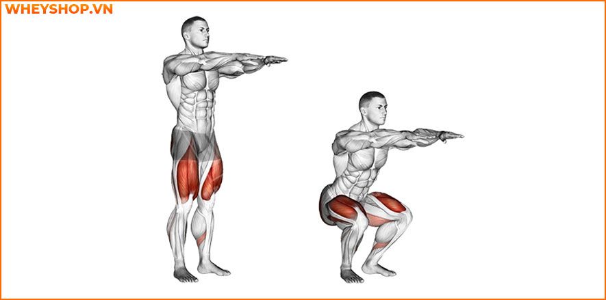 squat tăng vòng 3