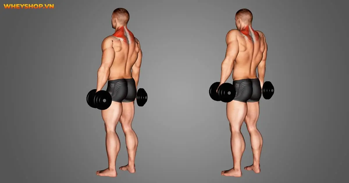 huong-dan-8-bai-tap-co-cau-vai-chuan-ky-thuat-6