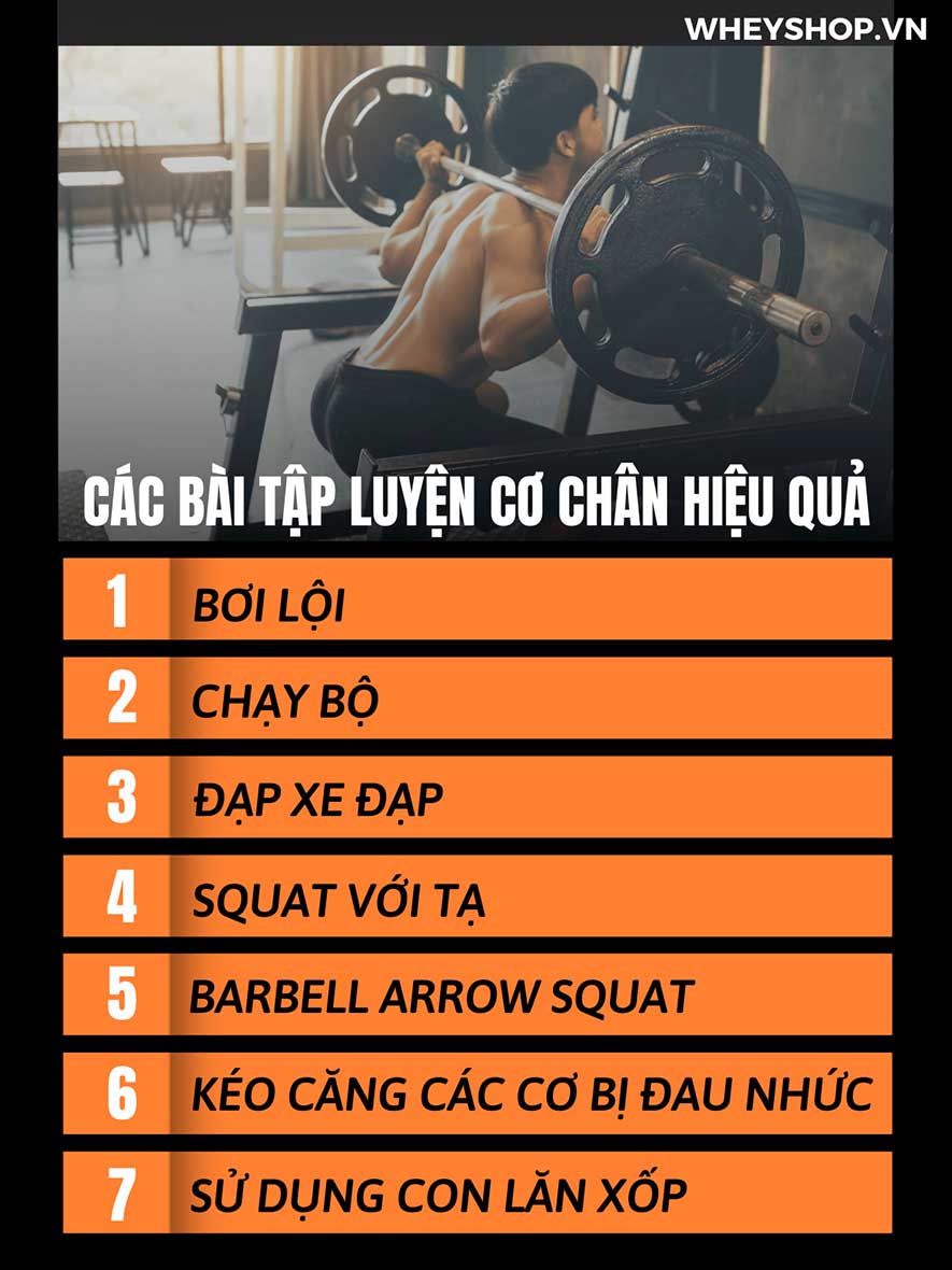 Tình trạng teo cơ có thể được cải thiện bằng cách tuân theo chế độ ăn uống khoa học và thực hiện các bài tập phục hồi teo cơ chân và áp dụng các biện pháp...