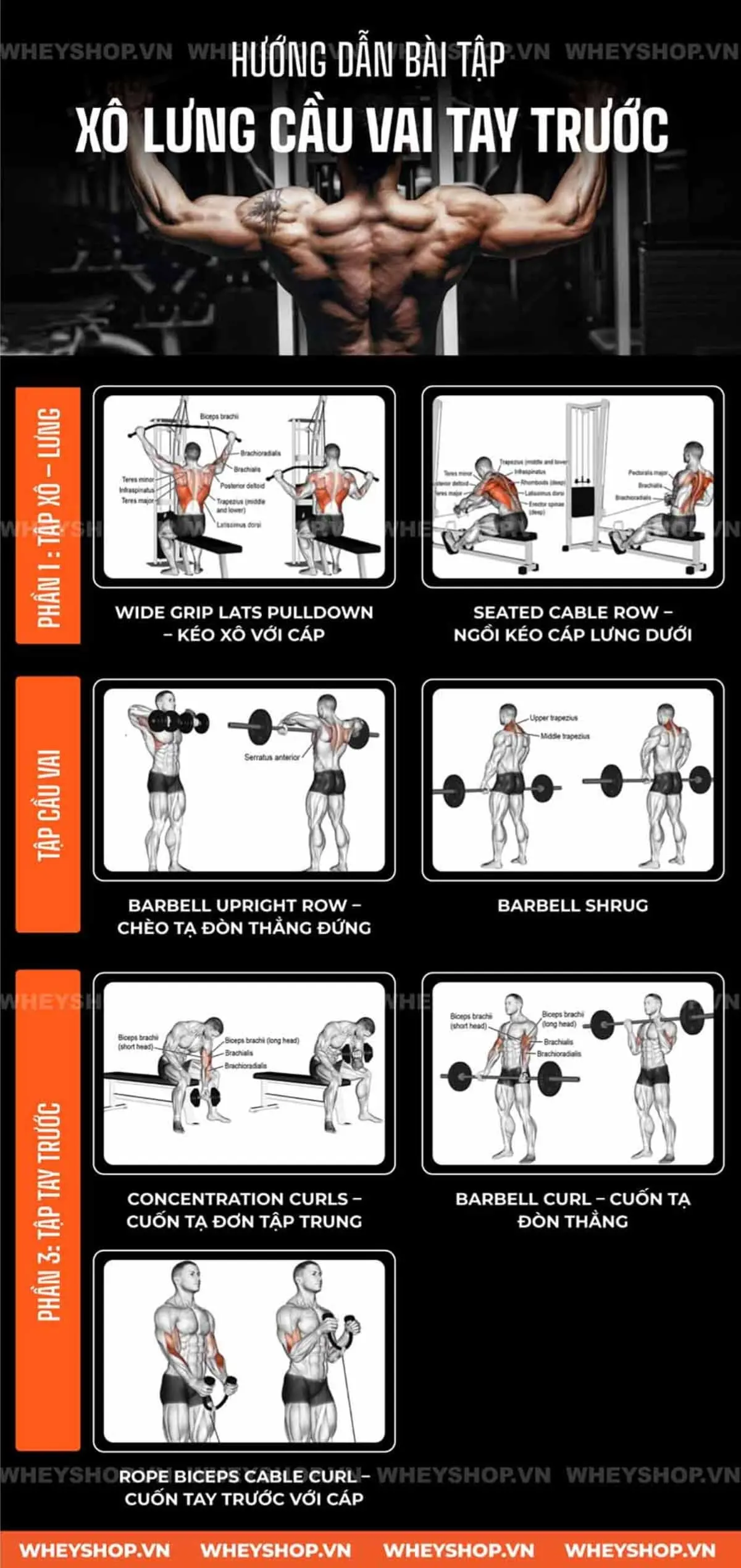 huong-dan-bai-tap-xo-lung-cau-vai-tay-truoc-3