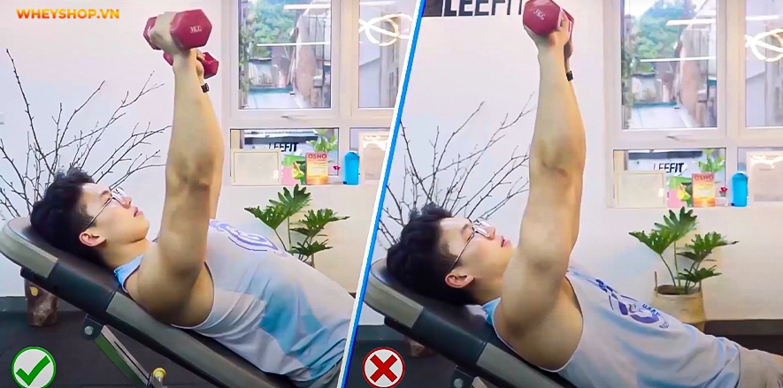 Nếu bạn đang muốn sở hữu một khuôn ngực săn chắc mà không biết bắt đầu từ đâu, thì đừng bỏ qua bài viết này! Dưới đây, là các bài tập ngực hiệu quả nhất