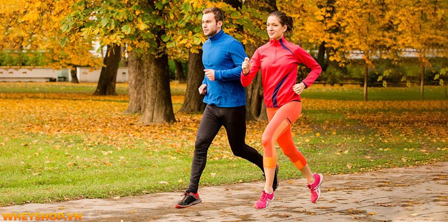 Nếu bạn đang thắc mắc chạy bộ giảm bao nhiêu calo? chạy bộ 1 tháng giảm bao nhiêu cân thì hãy cùng WheyShop tham khảo chi tiết qua bài viết ngay sau đây...
