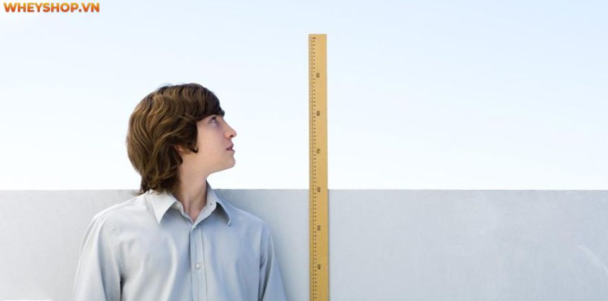 Chơi cầu lông được coi là một trong những môn thể thao nhanh nhất trên thế giới. Bài viết dưới đây WheyShop sẽ hướng dẫn các bạn cách chơi cầu lông đúng kỹ...