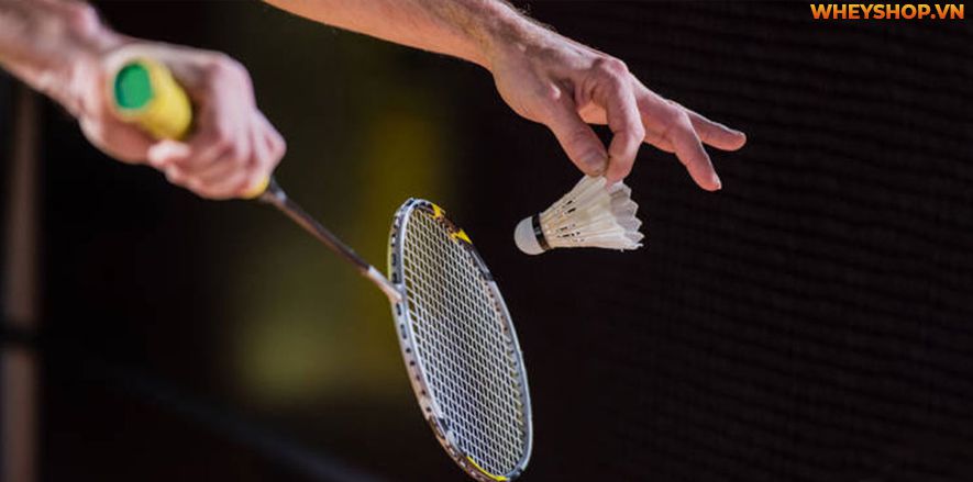 Chơi cầu lông được coi là một trong những môn thể thao nhanh nhất trên thế giới. Bài viết dưới đây WheyShop sẽ hướng dẫn các bạn cách chơi cầu lông đúng kỹ...