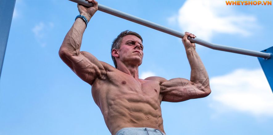 Bạn có biết, đu xà đơn là một trong những biện pháp tăng chiều cao cho mọi lứa tuổi, đặc biệt những người trước tuổi trưởng thành khi đu xà đơn có thể cao...