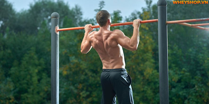 Bạn có biết, đu xà đơn là một trong những biện pháp tăng chiều cao cho mọi lứa tuổi, đặc biệt những người trước tuổi trưởng thành khi đu xà đơn có thể cao...