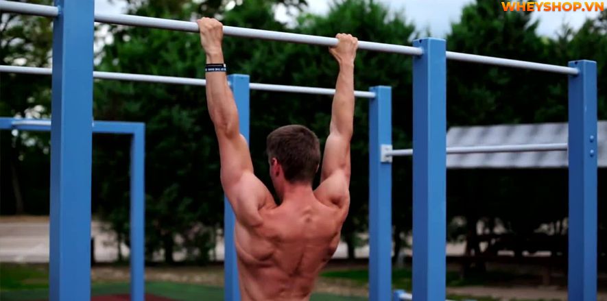 Bạn có biết, đu xà đơn là một trong những biện pháp tăng chiều cao cho mọi lứa tuổi, đặc biệt những người trước tuổi trưởng thành khi đu xà đơn có thể cao...