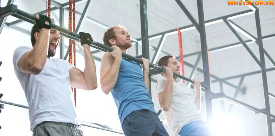 Bạn có biết, đu xà đơn là một trong những biện pháp tăng chiều cao cho mọi lứa tuổi, đặc biệt những người trước tuổi trưởng thành khi đu xà đơn có thể cao...