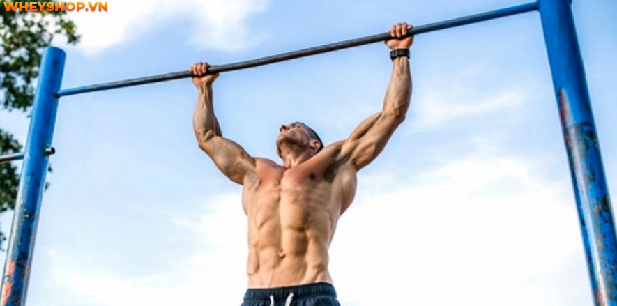 Bạn có biết, đu xà đơn là một trong những biện pháp tăng chiều cao cho mọi lứa tuổi, đặc biệt những người trước tuổi trưởng thành khi đu xà đơn có thể cao...