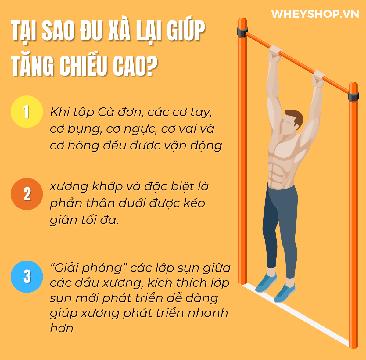Hướng dẫn cách đu xà tăng chiều cao cho nam nữ hiệu quả