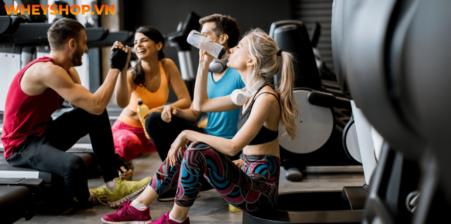 Nếu bạn đang băn khoăn tìm cách giảm mỡ bắp chân nhanh chóng, hiệu quả thì hãy cùng WheyShop tham khảo chi tiết bài viết ngay sau đây...