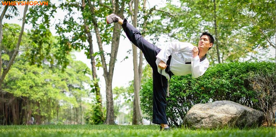 Võ thuật là một bộ môn lâu đời với nhiều môn phái như vovinam, karate, taekwondo…Tuy nhiên, rất nhiều người đặt ra câu hỏi " học võ thuật để làm gì?" Xin mời...