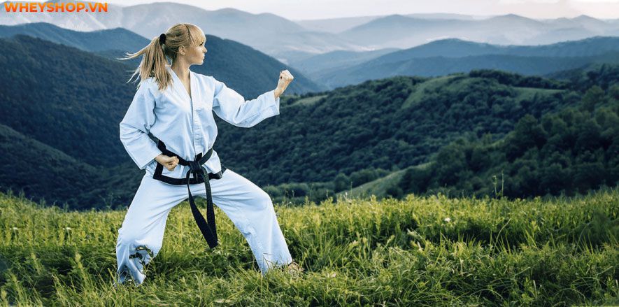 Võ thuật là một bộ môn lâu đời với nhiều môn phái như vovinam, karate, taekwondo…Tuy nhiên, rất nhiều người đặt ra câu hỏi " học võ thuật để làm gì?" Xin mời...