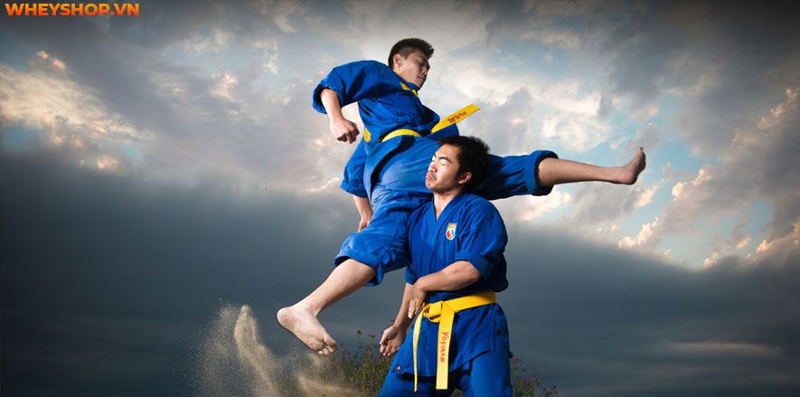 Võ thuật là một bộ môn lâu đời với nhiều môn phái như vovinam, karate, taekwondo…Tuy nhiên, rất nhiều người đặt ra câu hỏi " học võ thuật để làm gì?" Xin mời...
