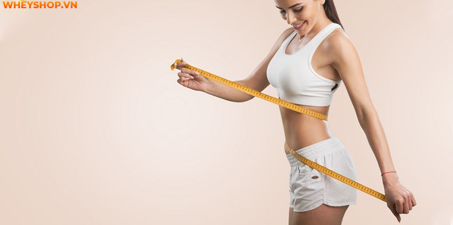 Nếu bạn đang băn khoăn tìm cách làm rượu gừng giảm đau nhức, giảm mỡ bụng thì hãy cùng WheyShop tham khảo chi tiết bài viết ngay sau đây nhé...