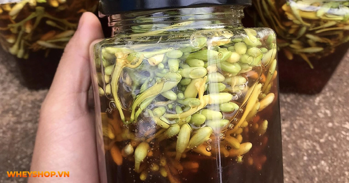 huong-dan-cach-ngam-hoa-du-du-duc-voi-mat-ong-01