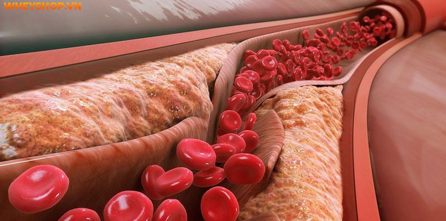 Cách ngâm hoa đu đủ đực với mật ong có tác dụng gì? Hãy cùng WheyShop làm phương thuốc ngâm hoa đu đủ đực với mật ong tại nhà nhé