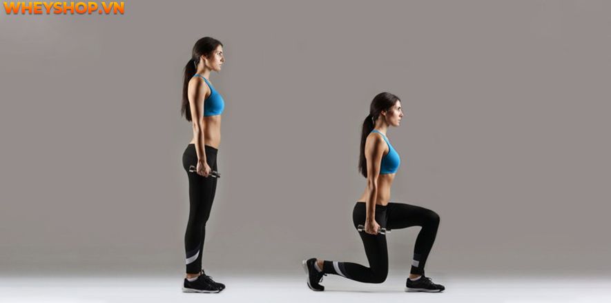 Sở hữu một vòng 3 săn chắc, căng tròn là mơ ước của rất nhiều chị em phụ nữ. Bài viết dưới đây WheyShop sẽ hướng dẫn các bạn cách tăng vòng 3 hiệu quả để cải...