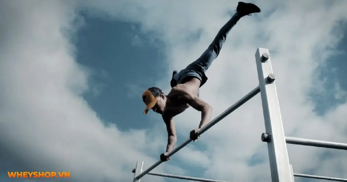 huong-dan-cach-tap-calisthenics-cho-nguoi-moi-01