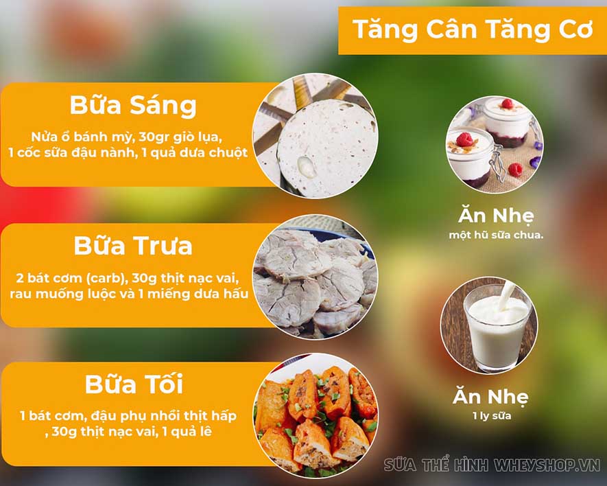 Bạn đang tập gym để hình thể đẹp hơn? Bạn đã biết đến thực đơn cho người tập gym chưa? Cùng tham khảo hướng dẫn xây dựng thực đơn cho người tập gym qua bài viết