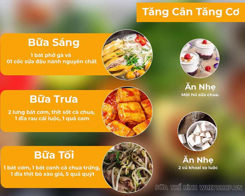 Bạn đang tập gym để hình thể đẹp hơn? Bạn đã biết đến thực đơn cho người tập gym chưa? Cùng tham khảo hướng dẫn xây dựng thực đơn cho người tập gym qua bài viết