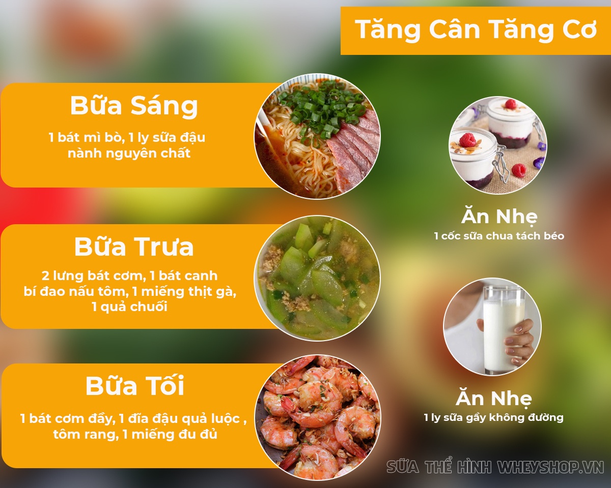Bạn đang tập gym để hình thể đẹp hơn? Bạn đã biết đến thực đơn cho người tập gym chưa? Cùng tham khảo hướng dẫn xây dựng thực đơn cho người tập gym qua bài viết