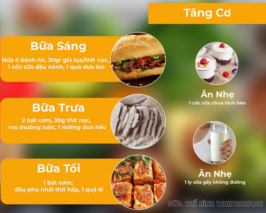 Bạn đang tập gym để hình thể đẹp hơn? Bạn đã biết đến thực đơn cho người tập gym chưa? Cùng tham khảo hướng dẫn xây dựng thực đơn cho người tập gym qua bài viết
