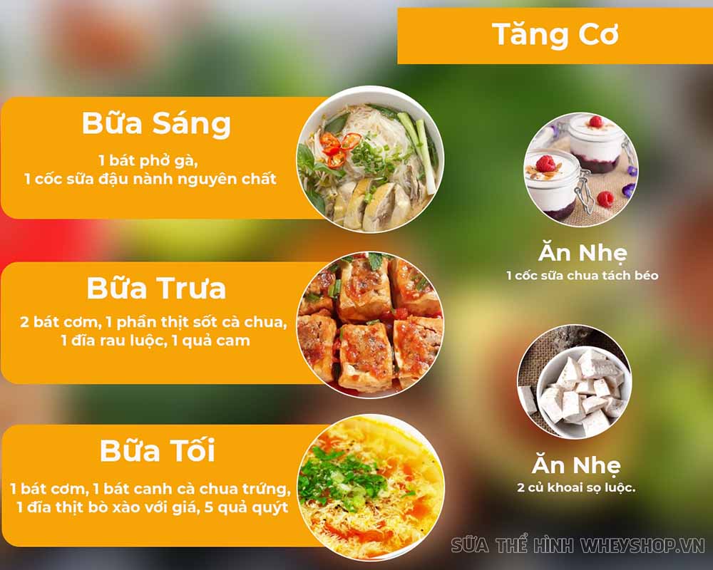 Bạn đang tập gym để hình thể đẹp hơn? Bạn đã biết đến thực đơn cho người tập gym chưa? Cùng tham khảo hướng dẫn xây dựng thực đơn cho người tập gym qua bài viết